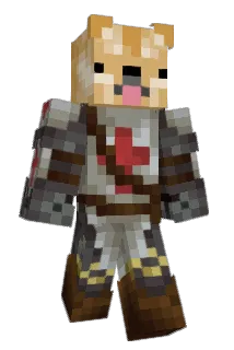 Ninjadoge98 Minecraft avatar full body