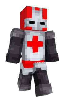 Ninjafalcons Minecraft avatar full body