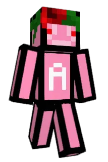 Ninjafor1 Minecraft avatar full body