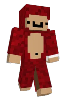 NinjagirI Minecraft avatar full body