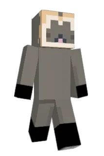 Ninjagirl811 Minecraft avatar full body