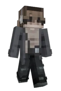 Ninjainyoface Minecraft avatar full body