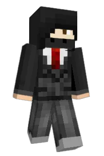 Ninjarion Minecraft avatar full body