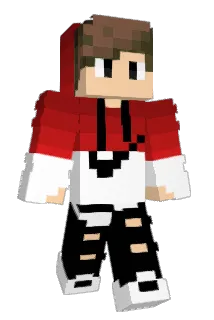 Ninjasheepapex Minecraft avatar full body