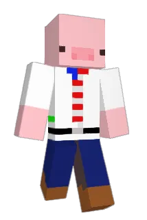 Ninjava66 Minecraft avatar full body