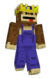 Ninjawalrus21 Minecraft avatar full body
