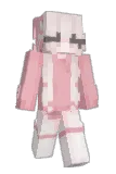 Ninjels Minecraft avatar full body