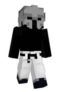 Ninjes Minecraft avatar full body
