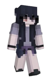 Ninjutsu Minecraft avatar full body