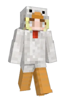 Ninksie Minecraft avatar full body