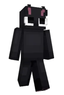 Ninou16 Minecraft avatar full body