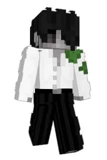 Minecraft-Avatar von Ninraeth: ganzer Körper