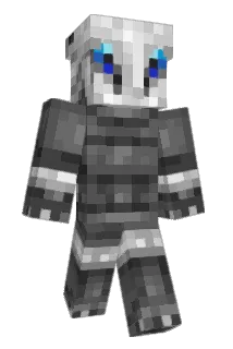Nintengod0900 Minecraft avatar full body