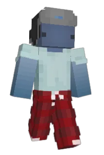 Ninton78 Minecraft avatar full body