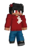 Nintty Minecraft avatar full body