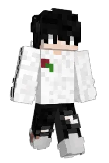 NipSauce Minecraft avatar full body
