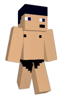 NippIeMan22 Minecraft avatar full body