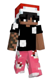 Niro800 Minecraft avatar full body