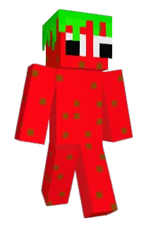 Niroto Minecraft avatar full body