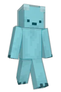 NisaaWii Minecraft avatar full body