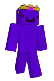 Niselo Minecraft avatar full body
