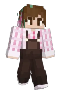 Niss1743 Minecraft avatar full body