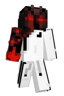 NitRecZ_ Minecraft avatar full body