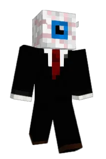 NiteRaider Minecraft avatar full body