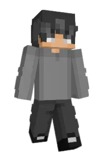 Niteh0wk Minecraft avatar full body