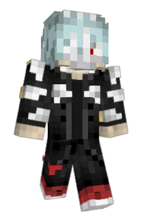 Nitehawk90000 Minecraft avatar full body