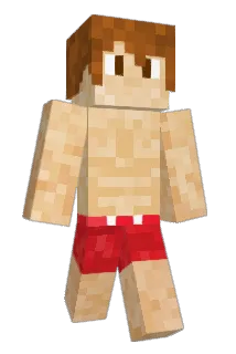 Nitrammer Minecraft avatar full body