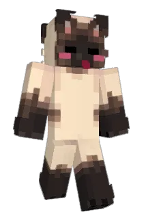 NitroMK222 Minecraft avatar full body