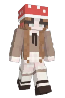 Nivibus Minecraft avatar full body