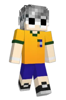 Niwzin Minecraft avatar full body