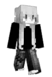 Nixinka Minecraft avatar full body