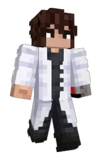 Nixou_ Minecraft avatar full body