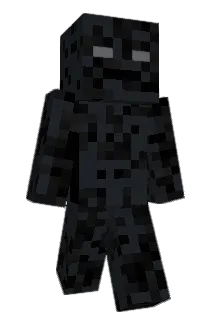 NlZ_ Minecraft avatar full body