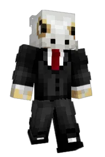 Nnaoyy Minecraft avatar full body