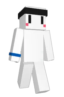 NoBF_ Minecraft avatar full body