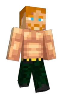 NoBrowSensei Minecraft avatar full body
