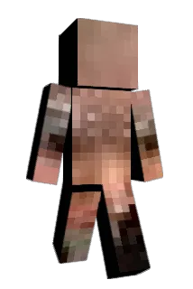 NoNatNovember Minecraft avatar full body