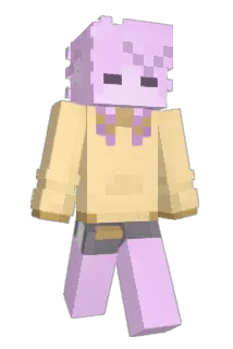 NoSkillsy Minecraft avatar full body