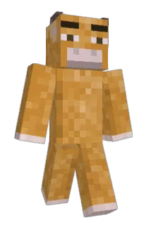 NoThanks212 Minecraft avatar full body