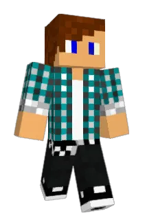 NoTonNo Minecraft avatar full body