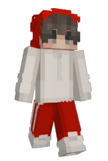 No_Burning_Trash Minecraft avatar full body
