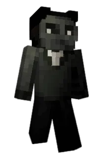 NoahSport Minecraft avatar full body