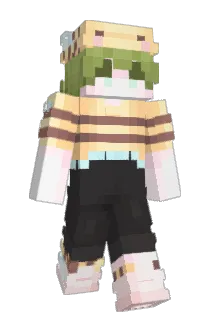 NobiSann2 Minecraft avatar full body