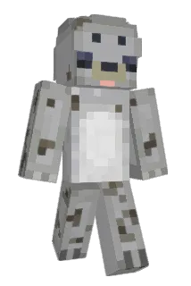 Nobody100 Minecraft avatar full body
