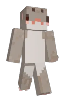 Nobsszzz Minecraft avatar full body