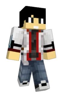 Noctusgaratus Minecraft avatar full body